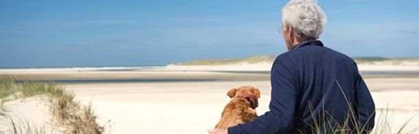 opa met hond opa met hond